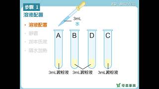 奇鼎KO會考 生物總複習 實驗3：酵素的作用