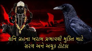 Shani Jayanti પર શનિદેવને પ્રસન્ન કરવા આટલું જરૂર કરો.