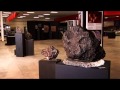 Southwest Meteorite Center - Overview