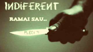 Indiferent feat Stepanov - Ramai sau pleci