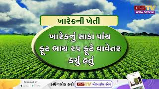 કૃષિવિશ્વઃ 100 વીઘામાં દેશી ખારેક વાવી ધ્રાંગધ્રાના ખેડૂતે લીધી 1.5 કરોડથી વધુની આવક