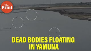 Panic spreads as Hamirpur residents sight dead bodies in Yamuna