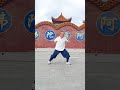 Shaolin 一路 dahongquan #kungfutraining #shaolinkungfuchina #shaolin