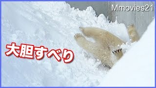 逆さ滑りで壁に衝突！でシュンとなるリラ　Polar Bear　slideｒ