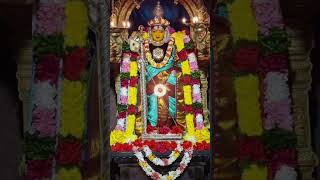 திருப்புகழை பாட பாட வாய் மணக்கும் முருகா சரவணபவா ஓம் முருகா 🦚🙏🙏🙏🙏