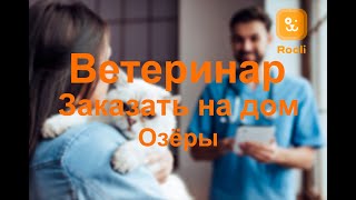 Ветеринар в Озёрах: Профессиональная помощь и забота о вашем питомце в наших сердцах