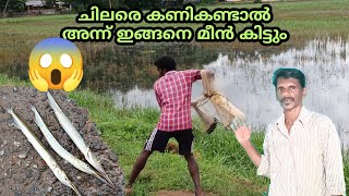 പുഴയിലെ വാളയെ വീശി പിടിച്ചു /Kerala Net Fishing/Fishing Video/Traditional Fishing/@SATHEERTHYAARTS