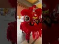 lion dance barongsai masuk dalam rumah