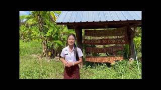 หมู่บ้านเศรษฐกิจพอเพียง ชุมชนบ้านมาบสมอ ตำบลหนองตาด อำเภอเมือง จังหวัดบุรีรัมย์