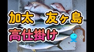 加太　友ヶ島　高仕掛け　鯛釣り