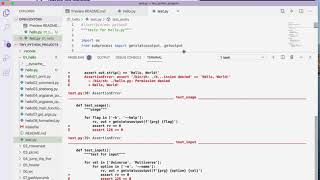 Tiny Python Projects: Ch 1 Pt 3 (running tests)