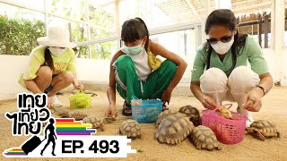 เทยเที่ยวไทย ตอน 493 | Road trip เพชรบุรี