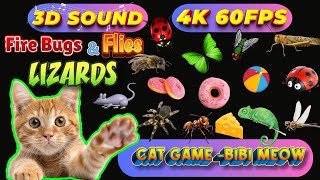 CAT GAMES BiBi TV | Ultimate Cat TV Compilation SPECIAL VOLUME #206| 3 HOURS | Game On Screen🐝🐞🦋🦎🦜🐜