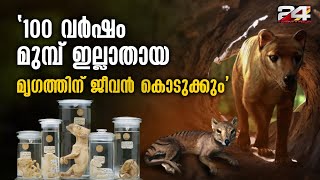 'വംശനാശം സംഭവിച്ച ടാസ്മാനിയൻ കടുവയുടെ RNA സാമ്പിളുകൾ ശാസ്ത്രജ്ഞർ വീണ്ടെടുത്തു' Extinct Animals