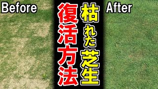 枯れた芝生の復活に重要なのは目土！