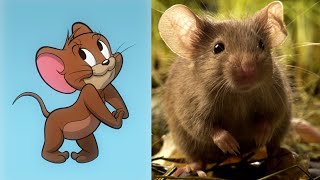 Tom and Jerry Characters in Real Life