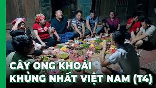 Trải nghiệm ẨM THỰC NGƯỜI THÁI cùng đội thợ ong sau khi THU HOẠCH CÂY ONG KHỦNG NHẤT VIỆT NAM