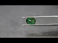 Tsavorite Garnet gemstone.  GRTS67