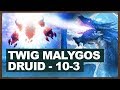 Twig Malygos Druid 10-3 Legend Run | The Witchwood Hearthstone