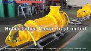 Hydroman® Electric Submersible Slurry Pumps Package.