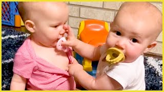 Twin Babies Fighting With Each Other Compilation || Funny Moment