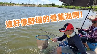 【福壽魚之章】超像野場的營業池，教你怎麼在陌生釣場看出主洞在那邊