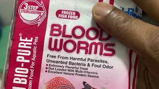 Hikari bloodworms for sale#9823206775