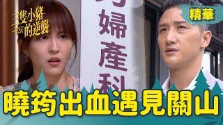 【三隻小豬的逆襲】EP30 曉筠出血去婦產科！竟然被關山撞見！！【 Piggy's Counterattack】