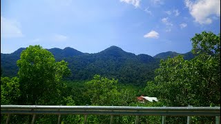 Rimbawi present the mangrove tour