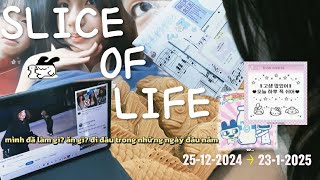 mình ĐI ĐÂU🚶‍♀️?LÀM GÌ🛒? ở những NGÀY ĐẦU NĂM 2025🤔..?! |slice of life | living in Hai Phong City