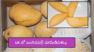 Indian Mangoes in UK  ||  Bangenapalli  ||  UK లో బంగినపల్లి మామిడి పండ్లు