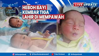 Tribun Netwok Live Update - Bayi Kembar Tiga Lahir di Mempawah
