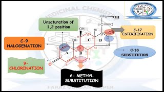 Structure Activity Relationship SAR of Glucocorticoids \u0026 Mineralocorticoids | MEDICINAL CHEMISTRY