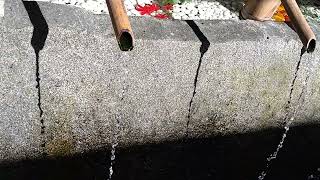 京都·上賀茂神社の手水舎