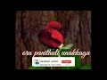 Poove muthal poove song - whatsapp status