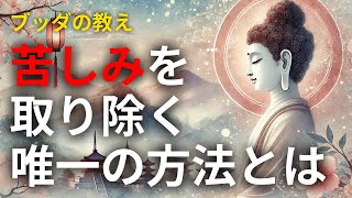 苦しみを手放す唯一の方法：仏教の教えに学ぶ心の解放