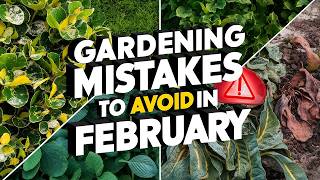 Gardening Mistakes to Avoid in February – Don’t Let These Kill Your Plants!