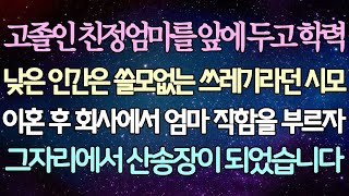 (반전 사연) 고졸인 친정엄마를 앞에 두고 학력 낮은 인간은 쓸모없는 쓰레기라던 시모 이혼 후 회사에서 엄마 직함을 부르자 그자리에서 산송장이 되었습니다 /사이다사연/라디오드라마