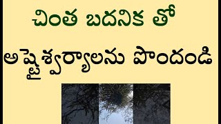 చింత బదనిక తో అష్టైశ్వర్యాలను పొందండి@Astrosciencewithremedies