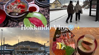 [vlog]2泊3日の北海道旅行✈️❄️冬の北海道を満喫☃️✨🩵