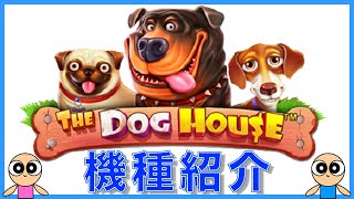 【機種紹介】THE DOG HOUSE【ビデオスロット】Video slot introduction