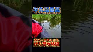 牛久沼で嬉しい瞬間 #fishing #釣り