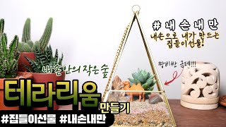 [테라리움 DIY 키트] 들어는 봤나? 금테 테라리움! 고급스러운 집들이 선물로 추천합니다.