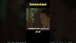 夫妻遭遇車禍雙雙去世，孩子卻在四年后降生，究竟發生了什么 #老A檔案室 #大案紀實錄 #案件調查 #懸案密碼 #懸案破解