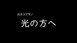 [가사/해석]카네코 아야노(カネコアヤノ)－빛이 있는 쪽으로(光の方へ)