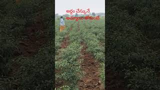 మన కష్ట సుఖాల్లో భార్య తోడుంటే