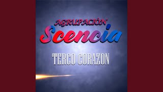 TERCO CORAZÓN