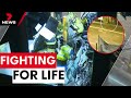 Teenage driver fighting for life after high-speed crash in Caringbah | 7NEWS