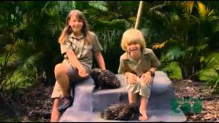 Bindi Irwin's Australia Zoo Animal Tour