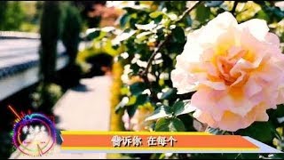 经典老歌《秋天不回来》女生版，听出满满的回忆，好听极了